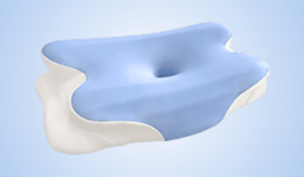 Best Ergonomic Neck Pillow for 2026: Side-by-Side Editorial Review